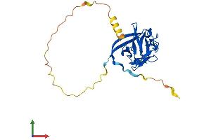 Protein Structure (PS) image for Fibroblast Growth Factor 11 (FGF11) (AA 1-225) protein (His tag) (ABIN7556709)