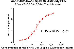 Elisa plate pre-coated by 2 μg/mL(100 μL/well) SARS-CoV-2 Spike S2 protein can bind Rabbit Anti-SARS-CoV-2 Spike S2 monoclonal antibody (clone:DM24) in a linear range of 1. (SARS-CoV-2 Spike S2 抗体)