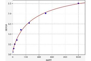 ERN1 ELISA 试剂盒