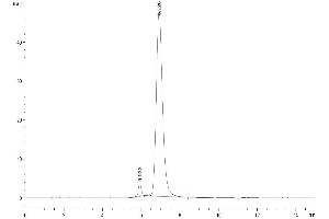 The purity of Human Ephrin-A4 is greater than 95 % as determined by SEC-HPLC.