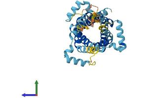 Protein Structure (PS) image for Solute Carrier Family 25, Member 40 (SLC25A40) (AA 1-337) protein (His tag) (ABIN7558571)