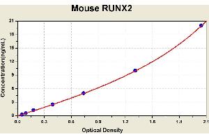 Diagramm of the ELISA kit to detect Mouse RUNX2with the optical density on the x-axis and the concentration on the y-axis.