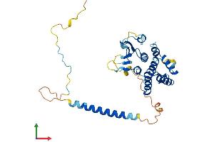 AlphaFold protein structure predicition of Mouse Recombinant Aimp2 Protein, UniprotID Q8R010 (AIMP2 Protein (AA 1-320) (His tag))