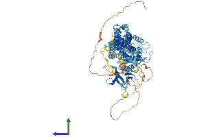 AlphaFold protein structure predicition of Mouse Recombinant Dnm1 Protein, UniprotID P39053