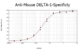 ELISA results of purified Rabbit anti-Mouse DELTA-1 Antibody tested against BSA-conjugated peptide of immunizing peptide. (DLL1 抗体  (AA 150-175))