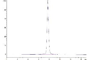 Size-exclusion chromatography-High Pressure Liquid Chromatography (SEC-HPLC) image for Growth Differentiation Factor 15 (GDF15) (AA 197-308) protein (Fc Tag) (ABIN7274725)