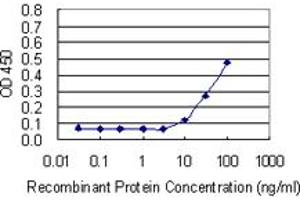 Detection limit for recombinant GST tagged THY1 is 3 ng/ml as a capture antibody. (CD90 抗体  (AA 1-161))