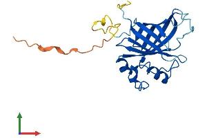 Protein Structure (PS) image for GID Complex Subunit 4, VID24 Homolog (GID4) (AA 1-217) protein (His tag) (ABIN7560492)