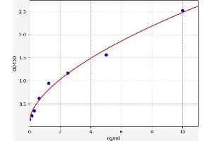 Syndecan Binding Protein (Syntenin) 2 (SDCBP2) ELISA Kit