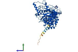 Protein Structure (PS) image for UDP-N-Acetyl-alpha-D-Galactosamine:polypeptide N-Acetylgalactosaminyltransferase 4 (GalNAc-T4) (GALNT4) (AA 1-578) protein (His tag) (ABIN7562211)