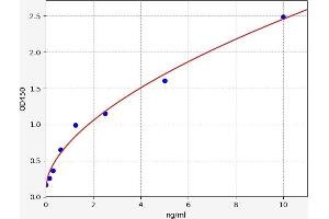 Typical standard curve (TOP2B ELISA 试剂盒)