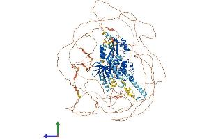 Protein Structure (PS) image for WNK Lysine Deficient Protein Kinase 4 (WNK4) (AA 1-1243) protein (His tag) (ABIN7556044)