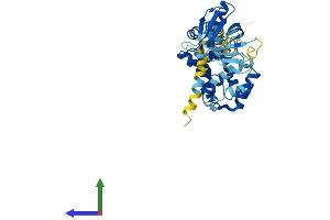 Protein Structure (PS) image for Cytohesin 2 (CYTH2) (AA 1-400) protein (His tag) (ABIN7556637)