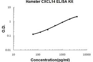 Hamster CXCL14 PicoKine ELISA Kit standard curve