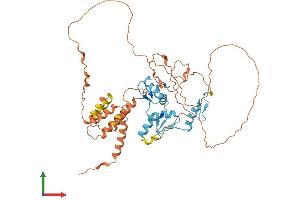 Protein Structure (PS) image for B-Cell CLL/lymphoma 6, Member B (BCL6B) (AA 1-474) protein (His tag) (ABIN7562589)