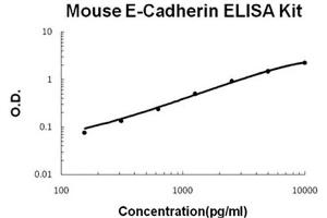 Mouse E-Cadherin Accusignal ELISA Kit Mouse E-Cadherin AccuSignal ELISA Kit standard curve.