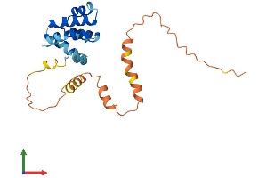 Protein Structure (PS) image for Caspase Recruitment Domain Family, Member 16 (CARD16) (AA 1-197) protein (His tag) (ABIN7552897)