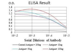 ELISA image for anti-Potassium Voltage-Gated Channel, KQT-Like Subfamily, Member 1 (KCNQ1) antibody (ABIN969227)