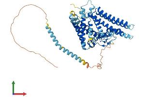 Protein Structure (PS) image for Sterol O-Acyltransferase 1 (SOAT1) (AA 1-550) protein (His tag) (ABIN7546143)