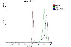 Flow Cytometry analysis of Jurkat cells using anti-GSDMD antibody (ABIN7599433).