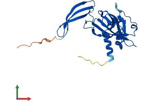 Protein Structure (PS) image for Nudix (Nucleoside Diphosphate Linked Moiety X)-Type Motif 5 (NUDT5) (AA 1-219) protein (His tag) (ABIN7549946)