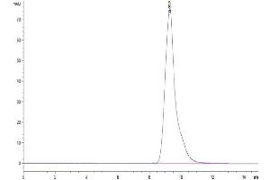 Size-exclusion chromatography-High Pressure Liquid Chromatography (SEC-HPLC) image for Folate Receptor 1 (Adult) (FOLR1) (AA 25-232) protein (His tag) (ABIN7274669)