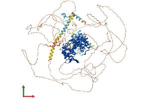 AlphaFold protein structure predicition of Human Recombinant RC3H2 Protein, UniprotID Q9HBD1 (RC3H2 Protein (AA 1-1191) (His tag))