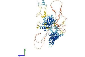 Protein Structure (PS) image for NFKB Repressing Factor (NKRF) (AA 1-690) protein (His tag) (ABIN7564458)