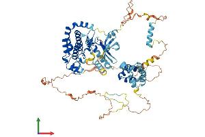 Protein Structure (PS) image for Receptor (TNFRSF)-Interacting serine-threonine Kinase 1 (RIPK1) (AA 1-671) protein (His tag) (ABIN7555218)