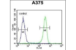 DSC1 Antibody (C-term) (ABIN652610 and ABIN2842408) flow cytometric analysis of  cells (right histogram) compared to a negative control cell (left histogram). (Desmocollin 1 抗体  (C-Term))