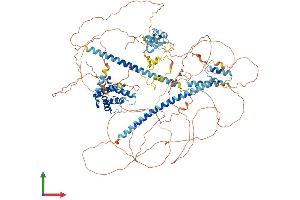 Protein Structure (PS) image for LIM and Calponin Homology Domains 1 (LIMCH1) (AA 1-1083) protein (His tag) (ABIN7554428)