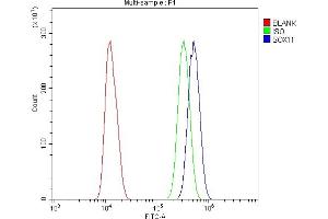 Flow Cytometry analysis of U20S cells using anti-SOX11 antibody (ABIN7599320). (SOX11 抗体  (AA 1-374))