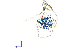 Protein Structure (PS) image for Heparan Sulfate 6-O-Sulfotransferase 2 (HS6ST2) (AA 1-612) protein (His tag) (ABIN7558343)