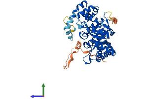 Protein Structure (PS) image for Potassium Voltage-Gated Channel, Shaker-Related Subfamily, beta Member 3 (KCNAB3) (AA 1-404) protein (His tag) (ABIN7548640)