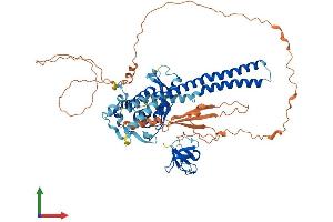 Protein Structure (PS) image for Sorting Nexin 18 (SNX18) (AA 1-628) protein (His tag) (ABIN7555559)
