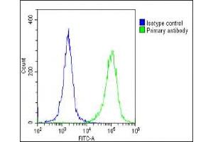 Overlay histogram showing HeLa cells stained with (ABIN1539662 and ABIN2848878)(green line). (HNRNPR 抗体  (N-Term))