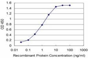 Detection limit for recombinant GST tagged TLX3 is approximately 0. (TLX3 抗体  (AA 192-291))