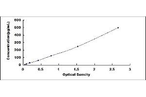 Typical standard curve (IL1F10 ELISA 试剂盒)