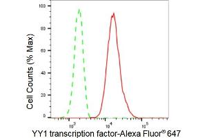 Flow cytometric analysis of YY1 transcription factor expression in HepG2 cells using YY1 transcription factor antibody (ABIN7800887), 1:2,000).