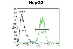 Flow cytometric analysis of HepG2 cells using SEC13 Antibody (Center) Cat. (SEC13 抗体  (Middle Region))