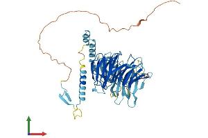 AlphaFold protein structure predicition of Human Recombinant DCAF4 Protein, UniprotID Q8WV16