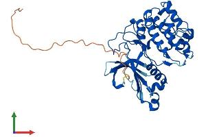 Protein Structure (PS) image for Protein Kinase, X-Linked (PRKX) (AA 1-358) protein (His tag) (ABIN7550986)
