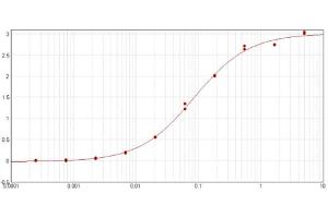 ELISA results of purified Goat Anti-GST Antibody tested against GST. (GST 抗体)