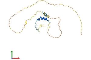 Protein Structure (PS) image for Cbp/p300-Interacting Transactivator, with Glu/Asp-Rich Carboxy-terminal Domain, 1 (CITED1) (AA 1-193) protein (His tag) (ABIN7553379)