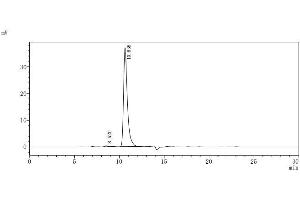 Interleukin 2 Receptor, alpha (IL2RA) (AA 22-238) (Active) protein (His tag)