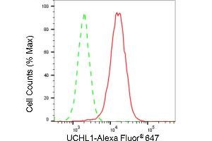 Flow cytometric analysis of UCHL1 expression in HAP-1 cells using UCHL1 antibody (ABIN7800708), 1:2,000). (Recombinant UCHL1 抗体)