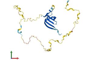 AlphaFold protein structure predicition of Human Recombinant SNRPN Protein, UniprotID P63162