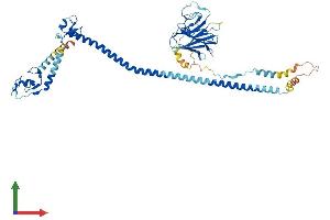 Protein Structure (PS) image for Tripartite Motif Containing 39 (TRIM39) (AA 1-518) protein (His tag) (ABIN7544799)
