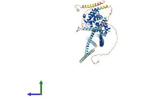 AlphaFold protein structure predicition of Human Recombinant EVI5 Protein, UniprotID O60447 (EVI5 Protein (AA 1-810) (His tag))