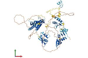 Protein Structure (PS) image for NFKB Repressing Factor (NKRF) (AA 1-690) protein (His tag) (ABIN7554733)
